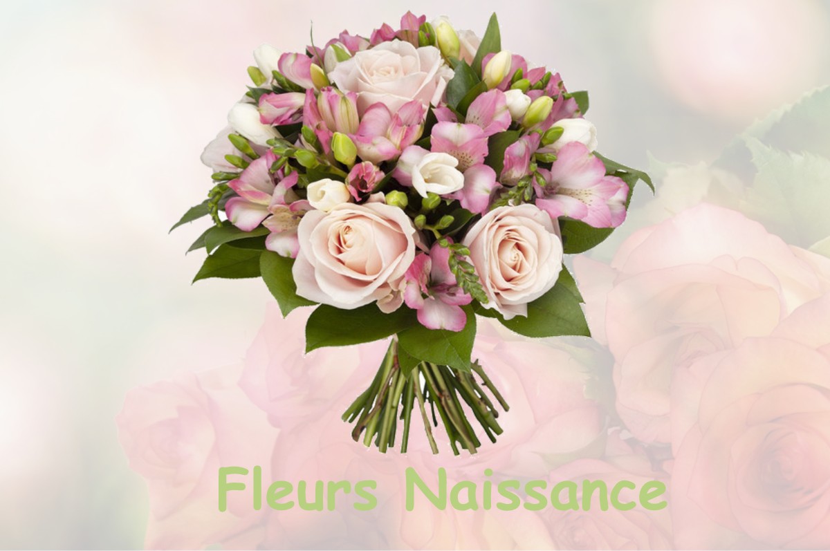 fleurs naissance SAINT-NICOLAS-D-ALIERMONT